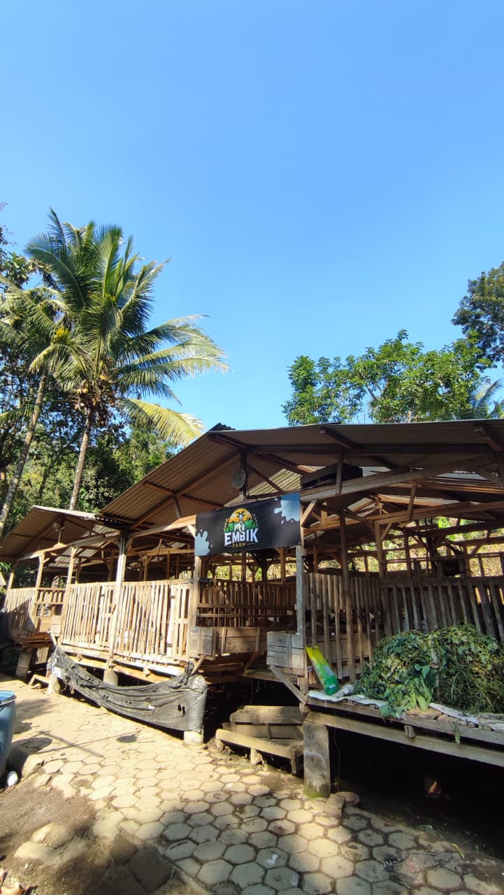 Embik Farm - Peternakan Modern
